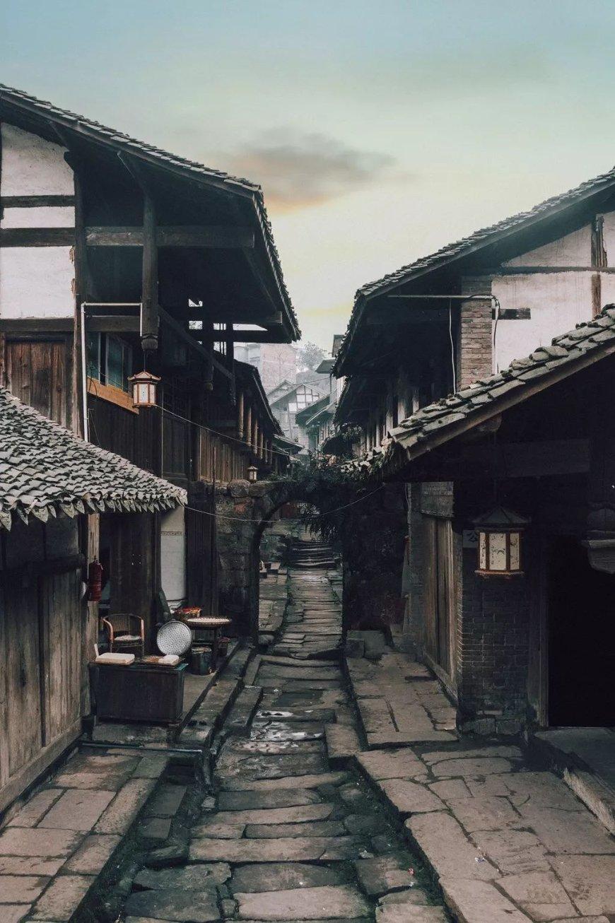 时代标杆-倪树高